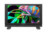 Монитор Sony PVM-A170 v2.0